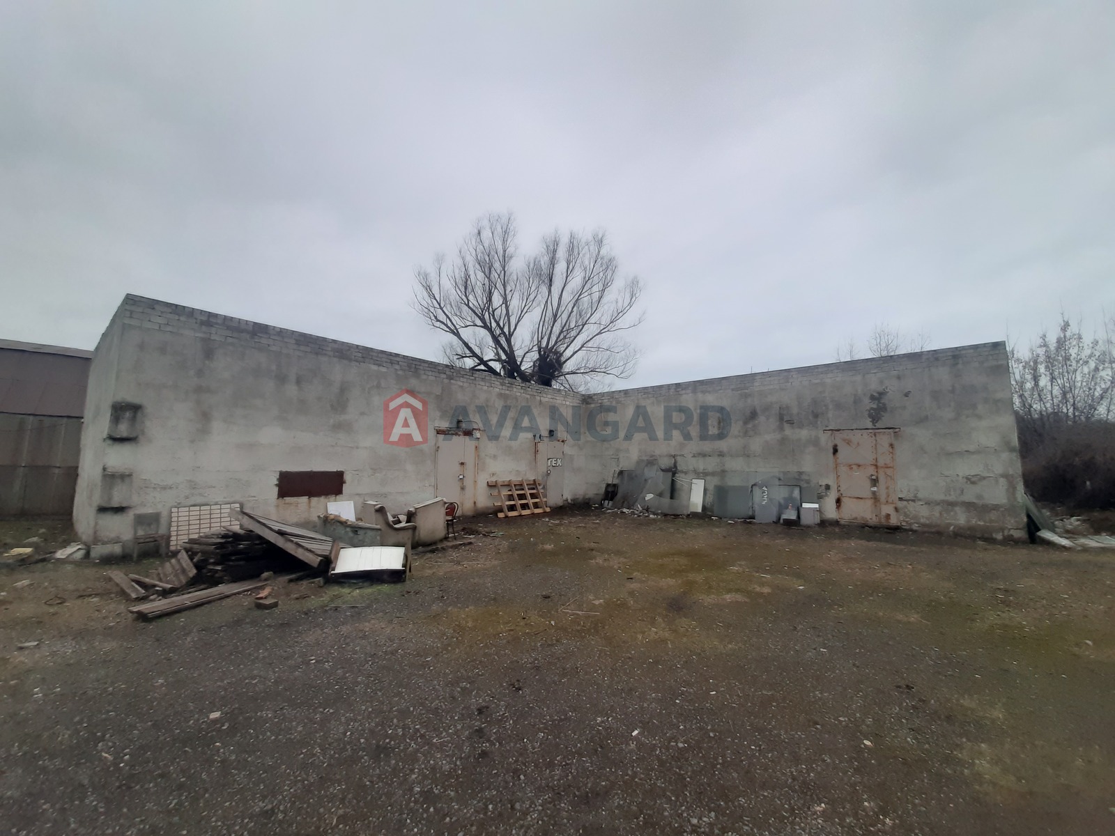 ����� �����, 56 ��.�. ���� 1