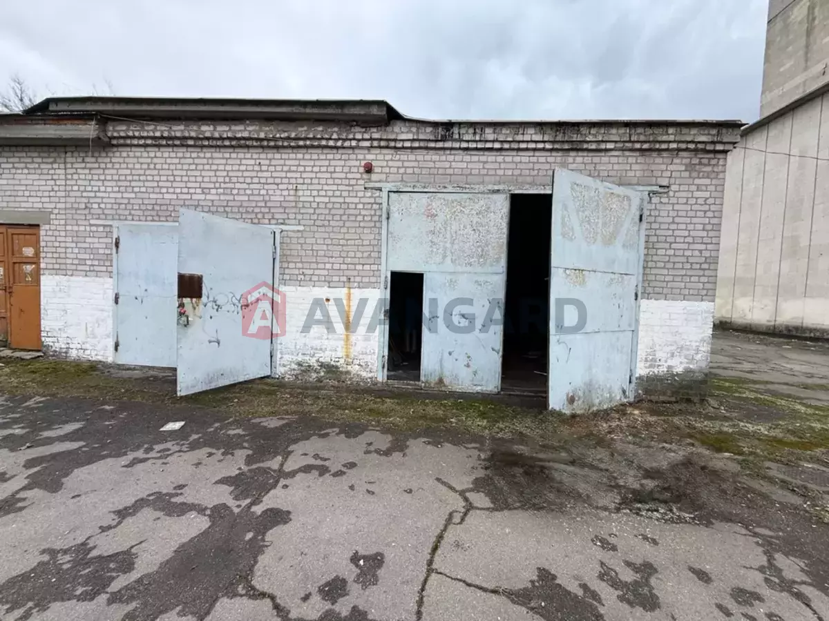 ���������� �����, 98 ��.�. ���� 2