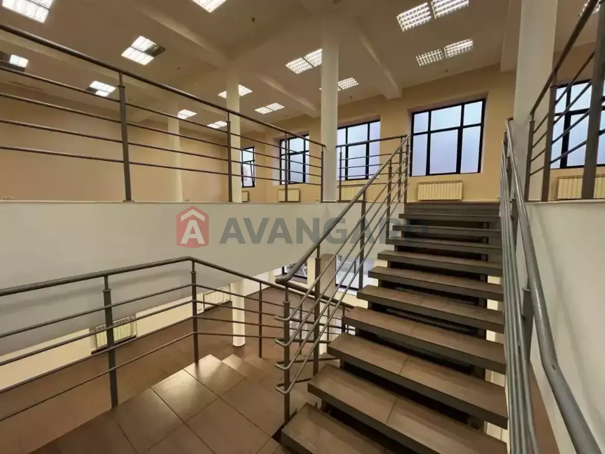 ���������� �����, 430 ��.�. ���� 5