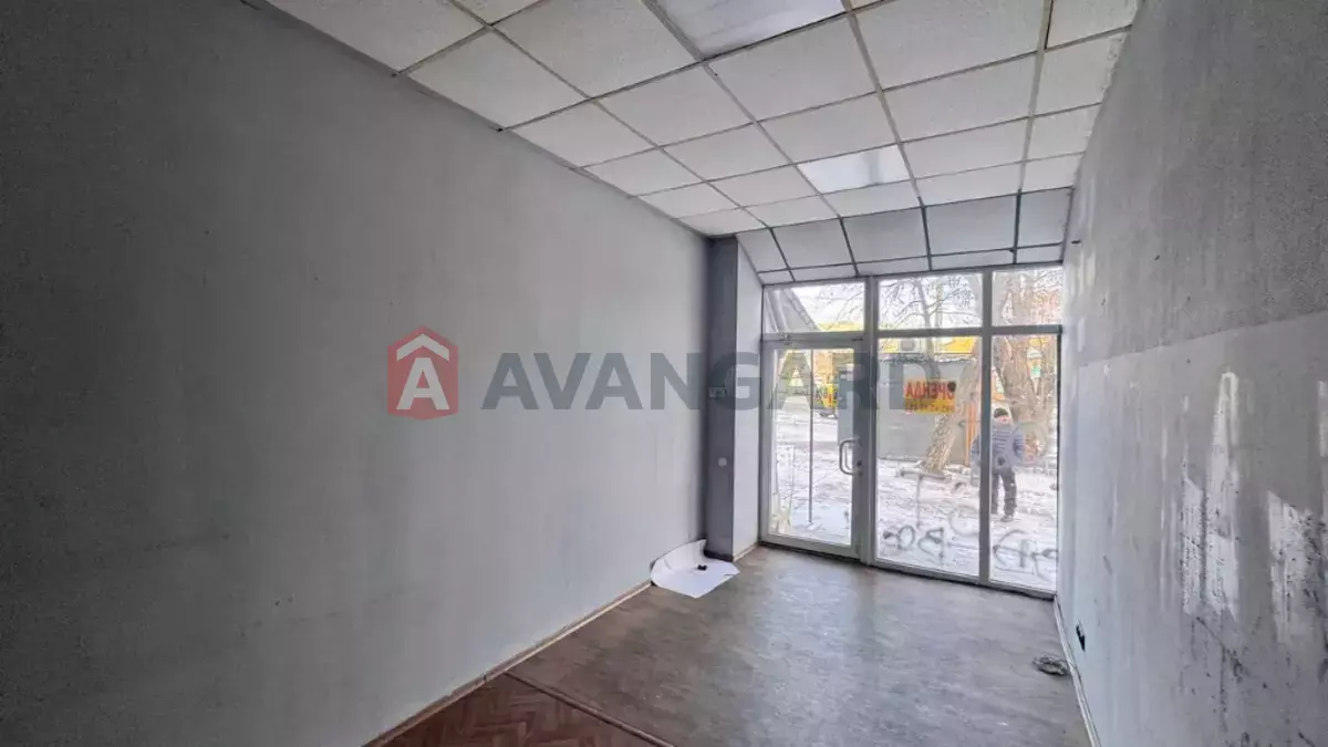 �������� �������, 19 ��.�. ���� 6