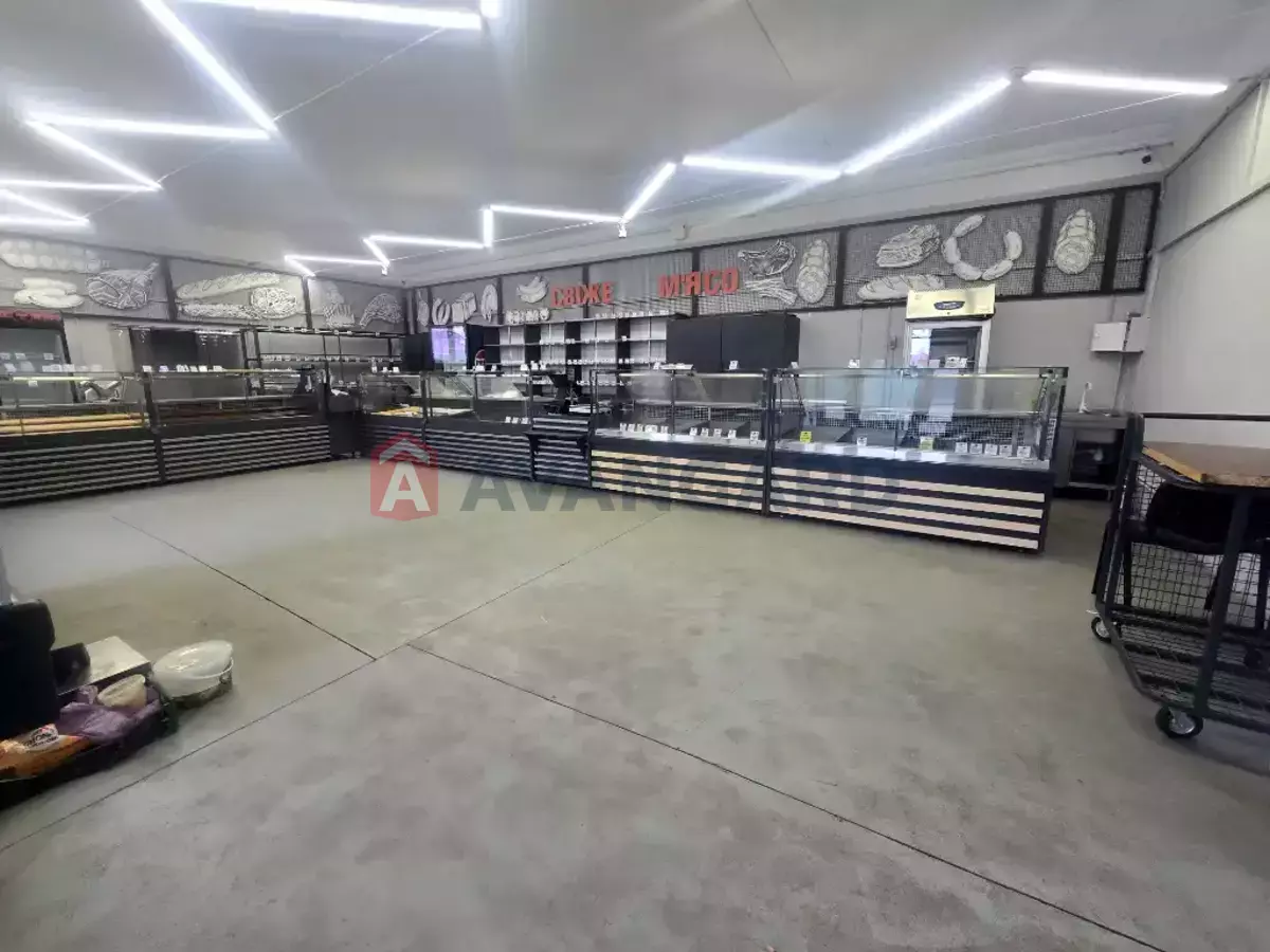 �������� �������, 160 ��.�. ���� 5