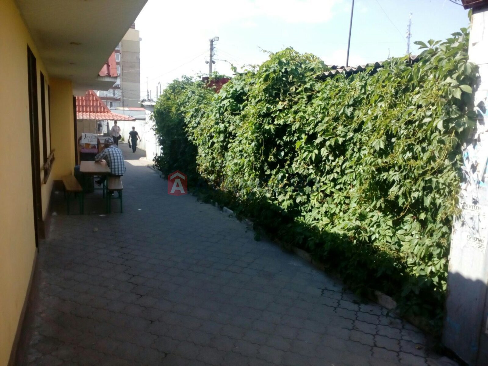 ����, ���, ��������, 100 ��.�. ���� 3