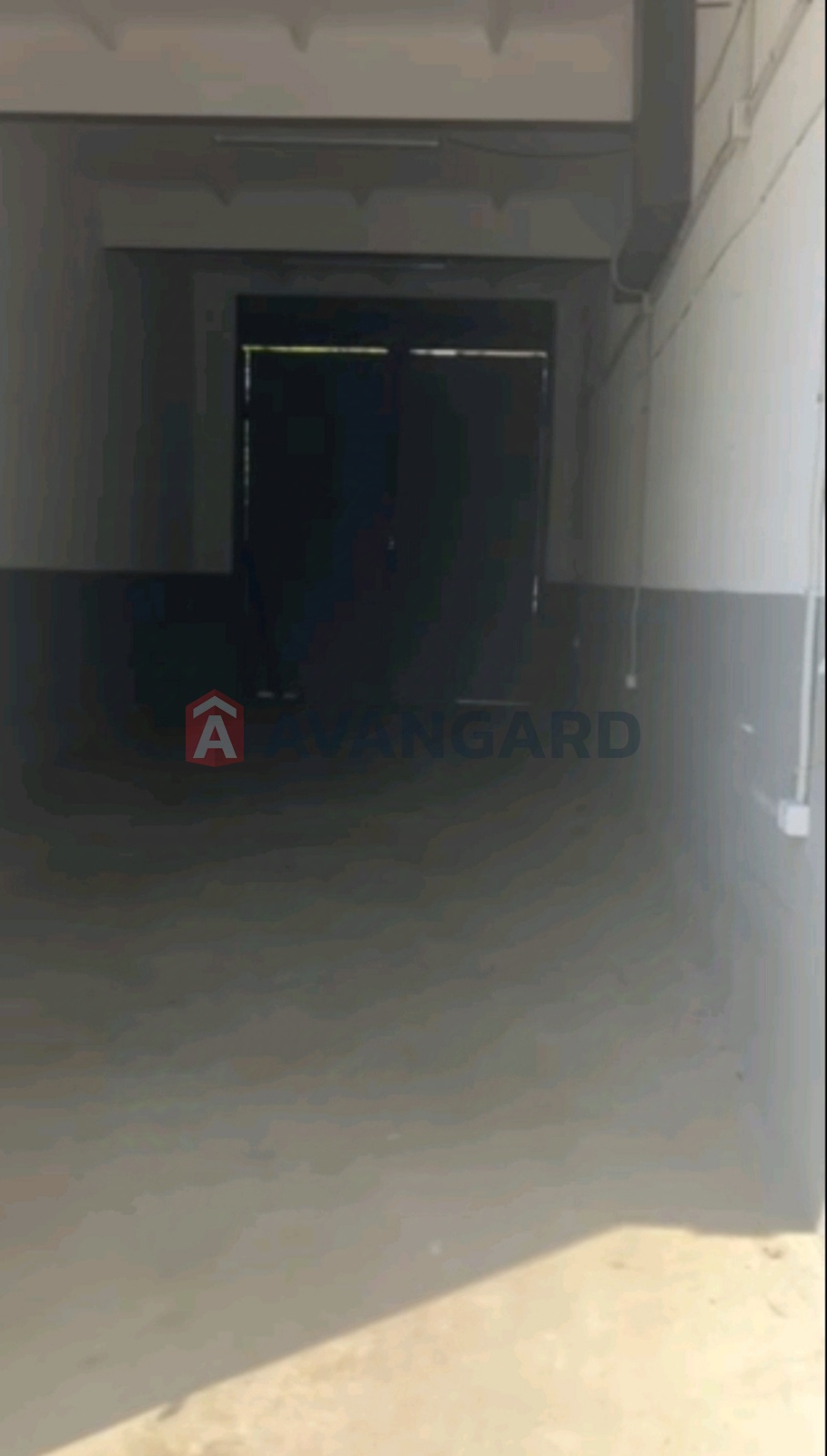 50 ��.�. ���� 4