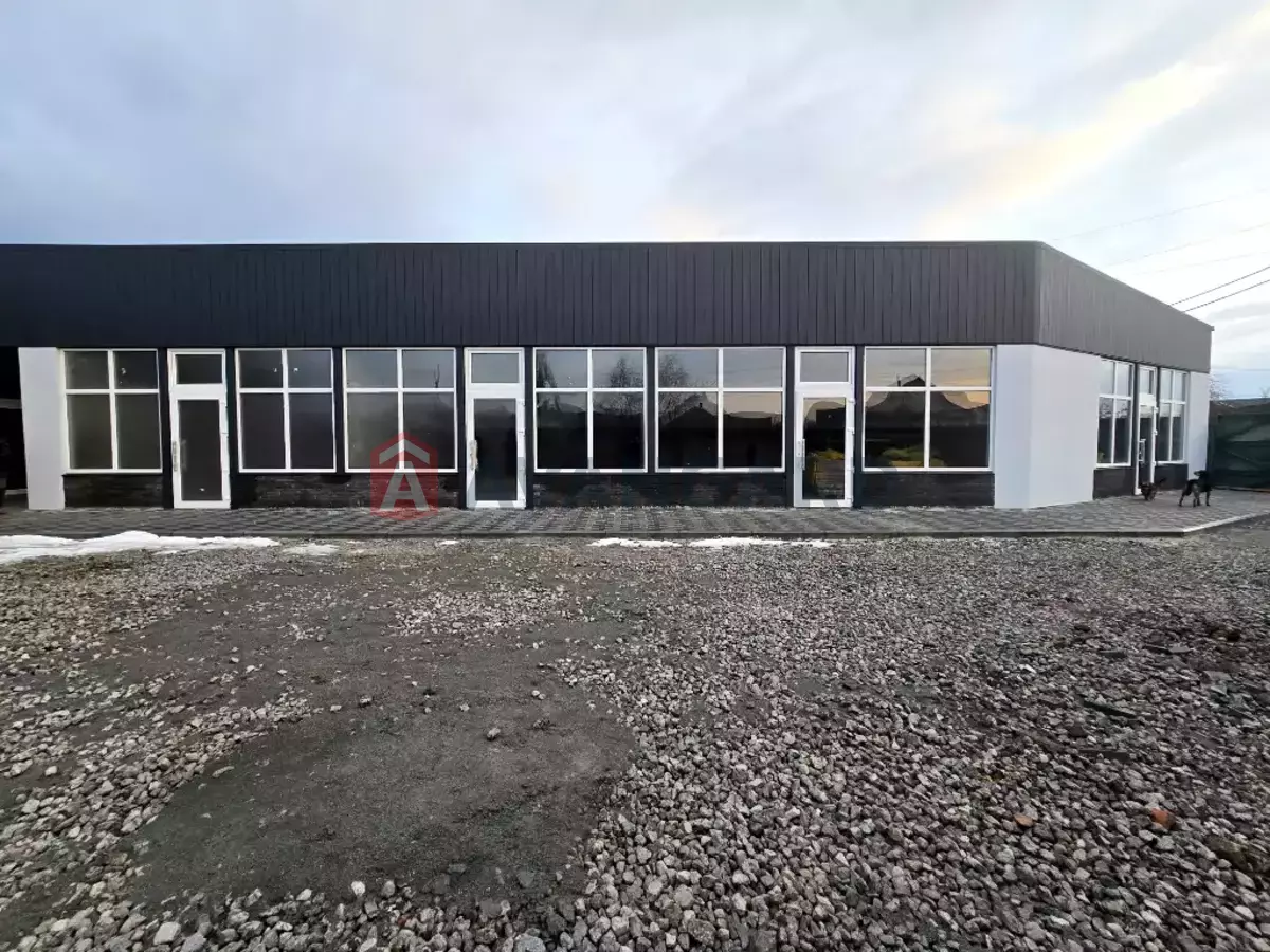 �������� �������, 40 ��.�. ���� 3