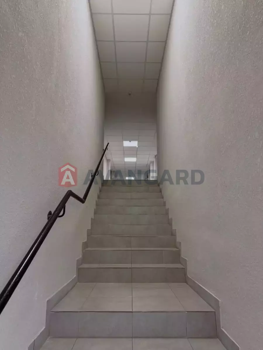 �������� �������, 130 ��.�. ���� 7