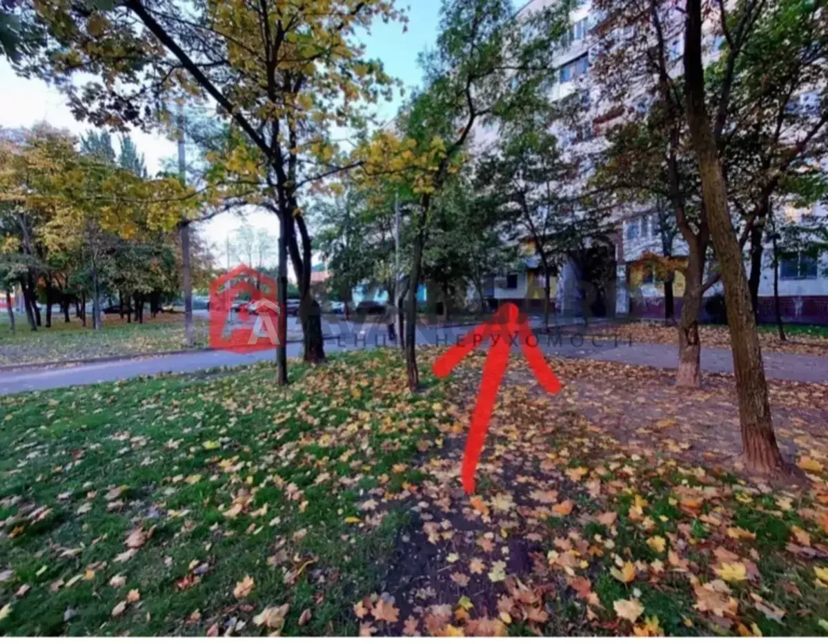 ����, ���, ��������, 45 ��.�. ���� 1