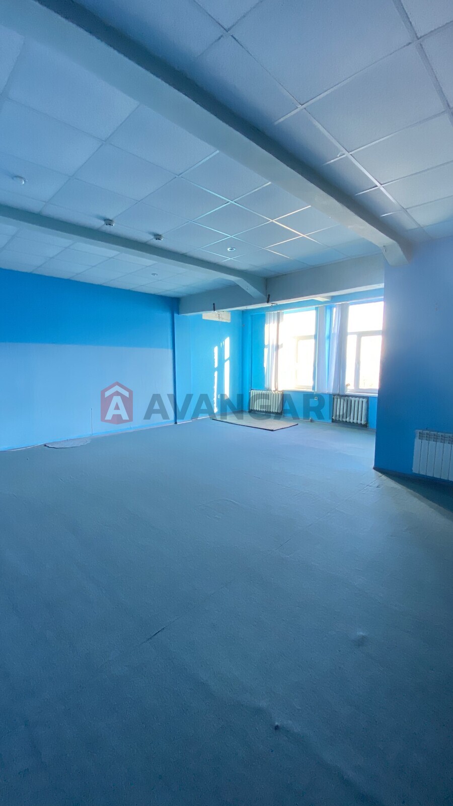 ����� ������, 100 ��.�. ���� 6