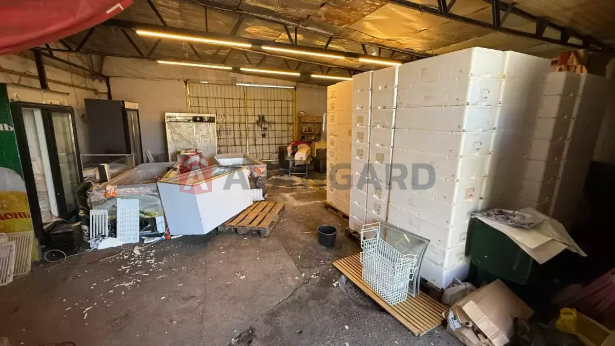 ���������� �����, 300 ��.�. ���� 26