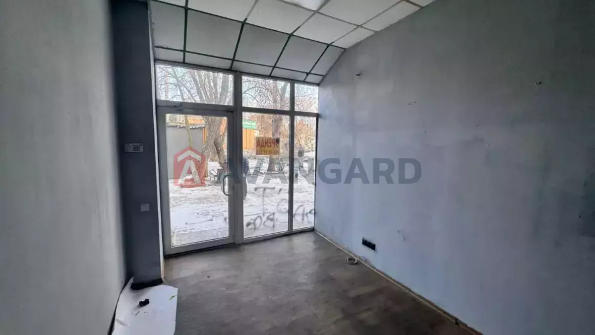 �������� �������, 19 ��.�. ���� 5