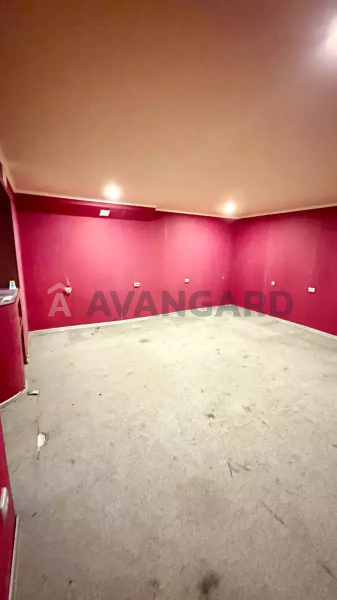 �������� �������, 65 ��.�. ���� 2