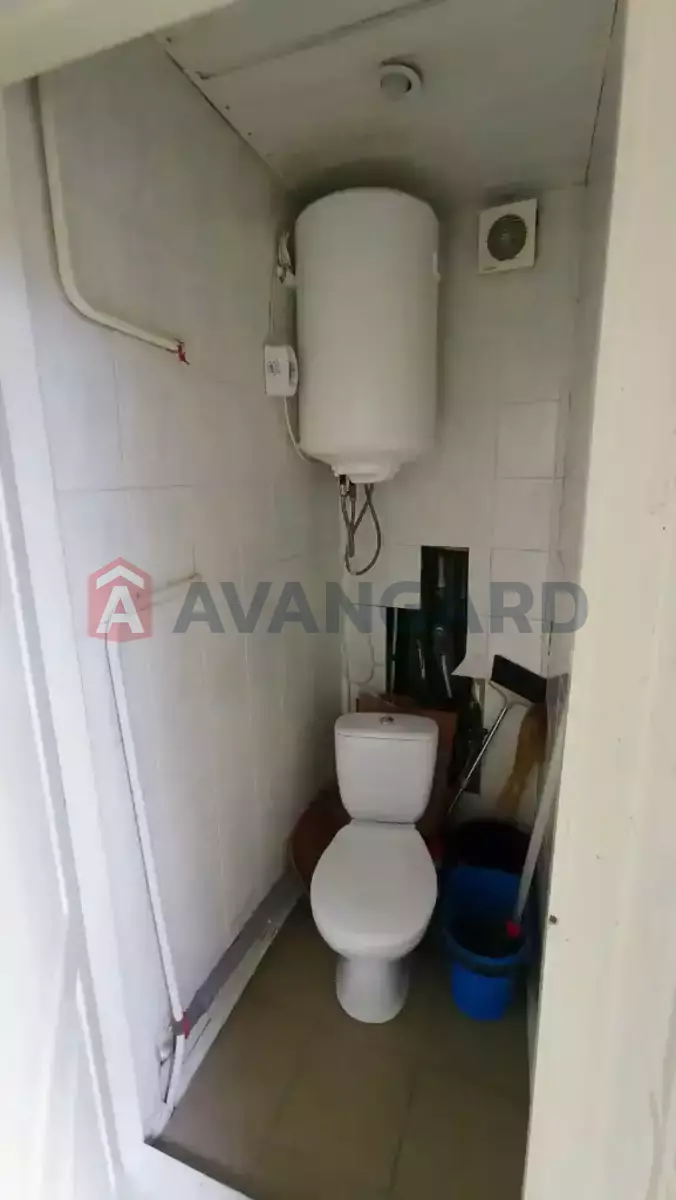 ����� �����, 33 ��.�. ���� 3