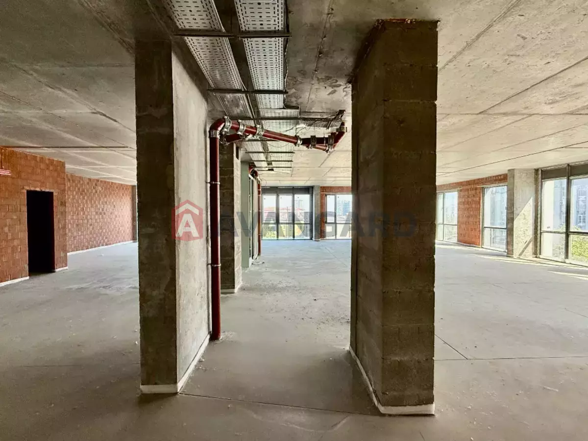 �������� �������, 292 ��.�. ���� 22