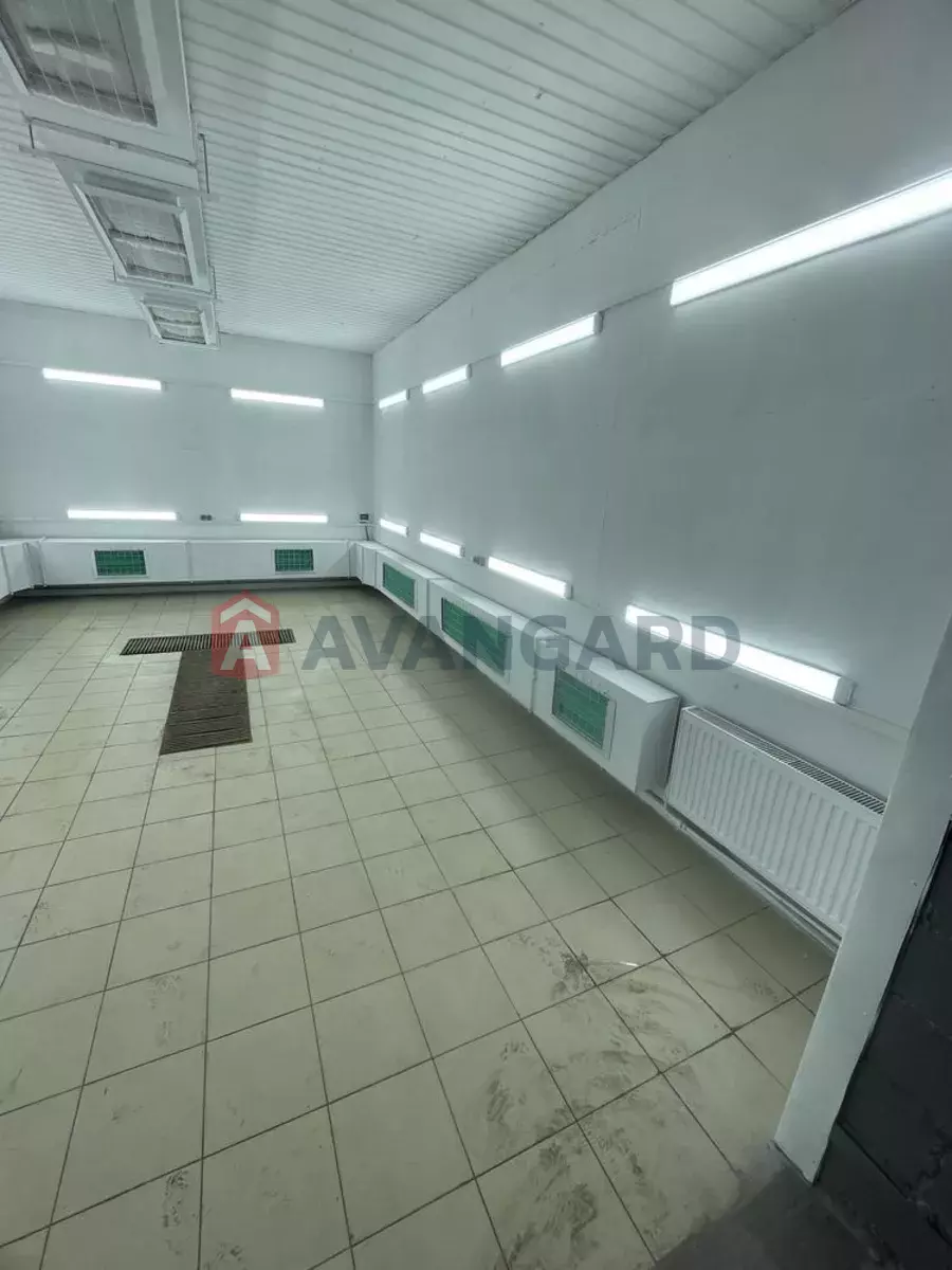 ����� �����, 200 ��.�. ���� 5