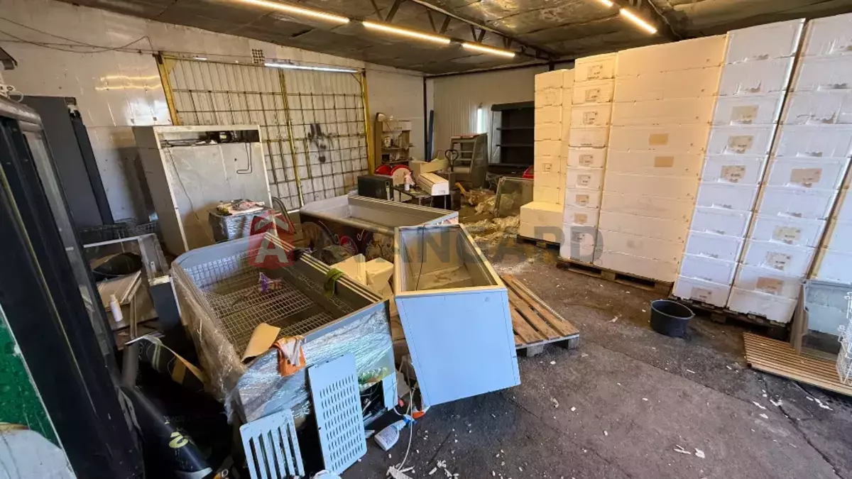 ���������� �����, 300 ��.�. ���� 25