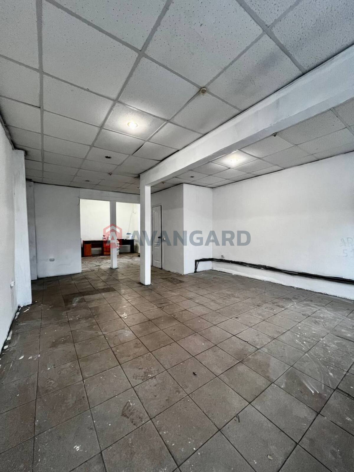 �������� �������, ����, ���, ��������, ����� �����, 60 ��.�. ���� 8