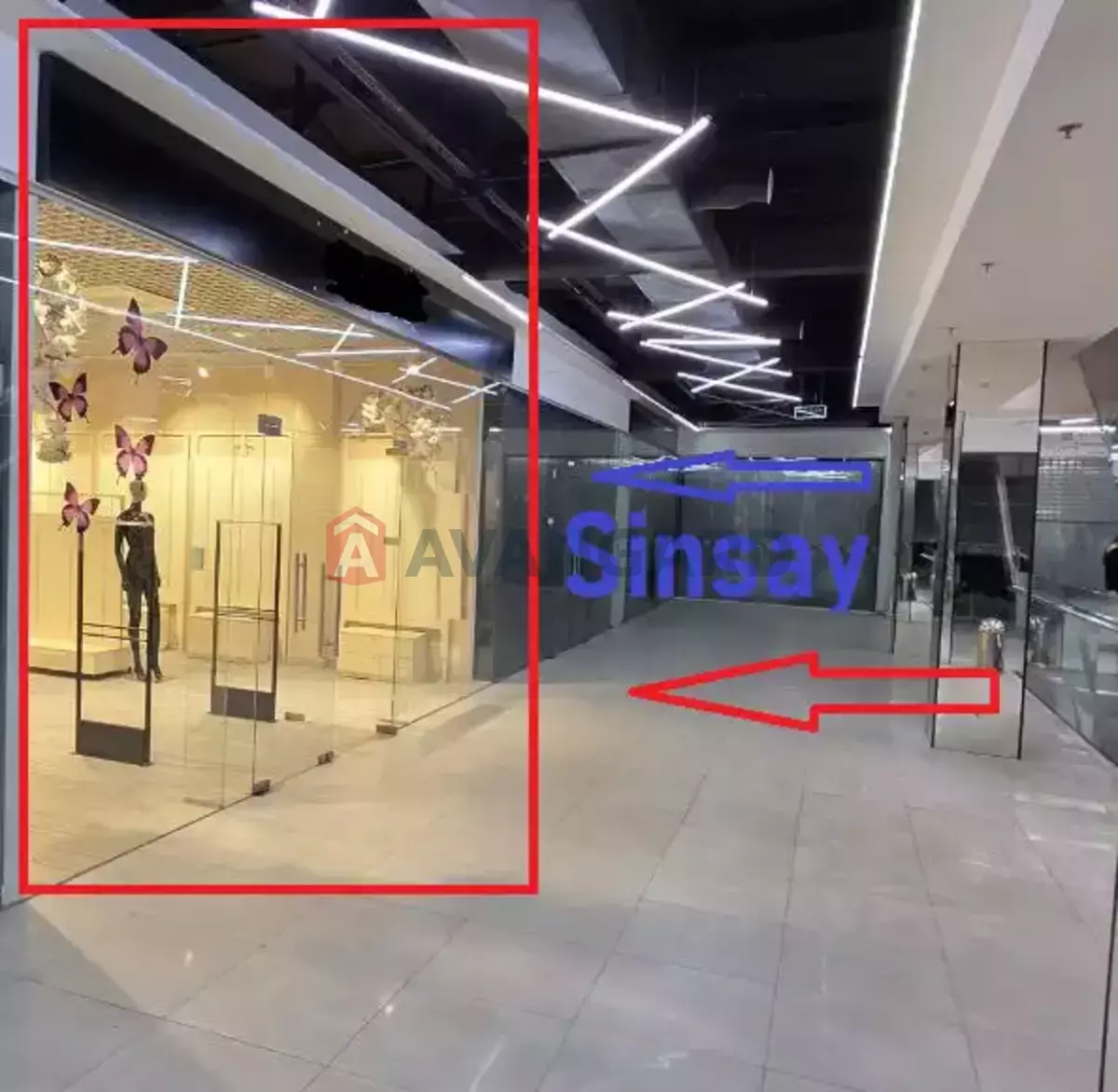 �������� �������, 47 ��.�. ���� 2