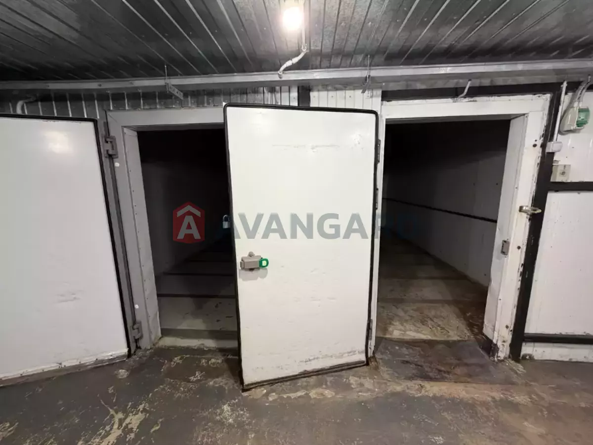 ���������� �����, 240 ��.�. ���� 8