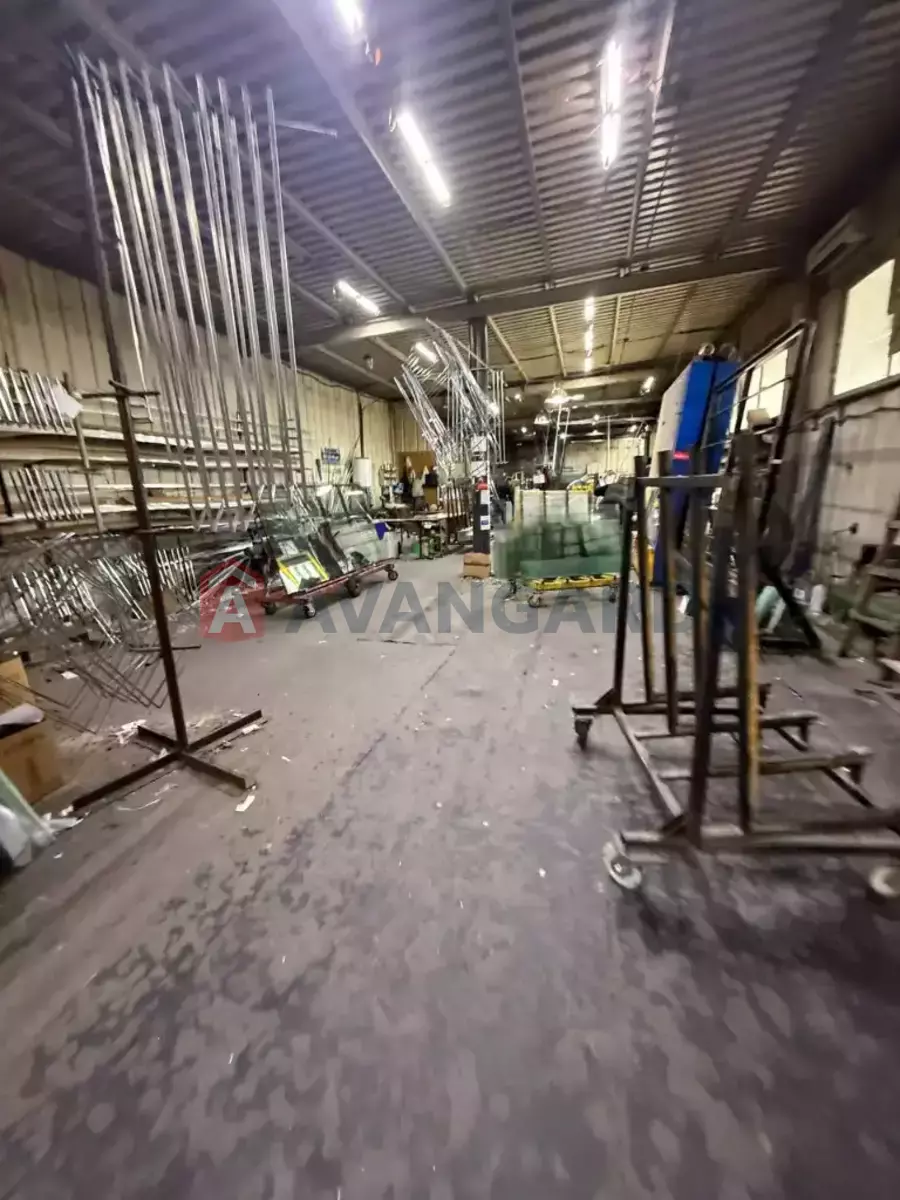 ���������� �����, 4000 ��.�. ���� 10