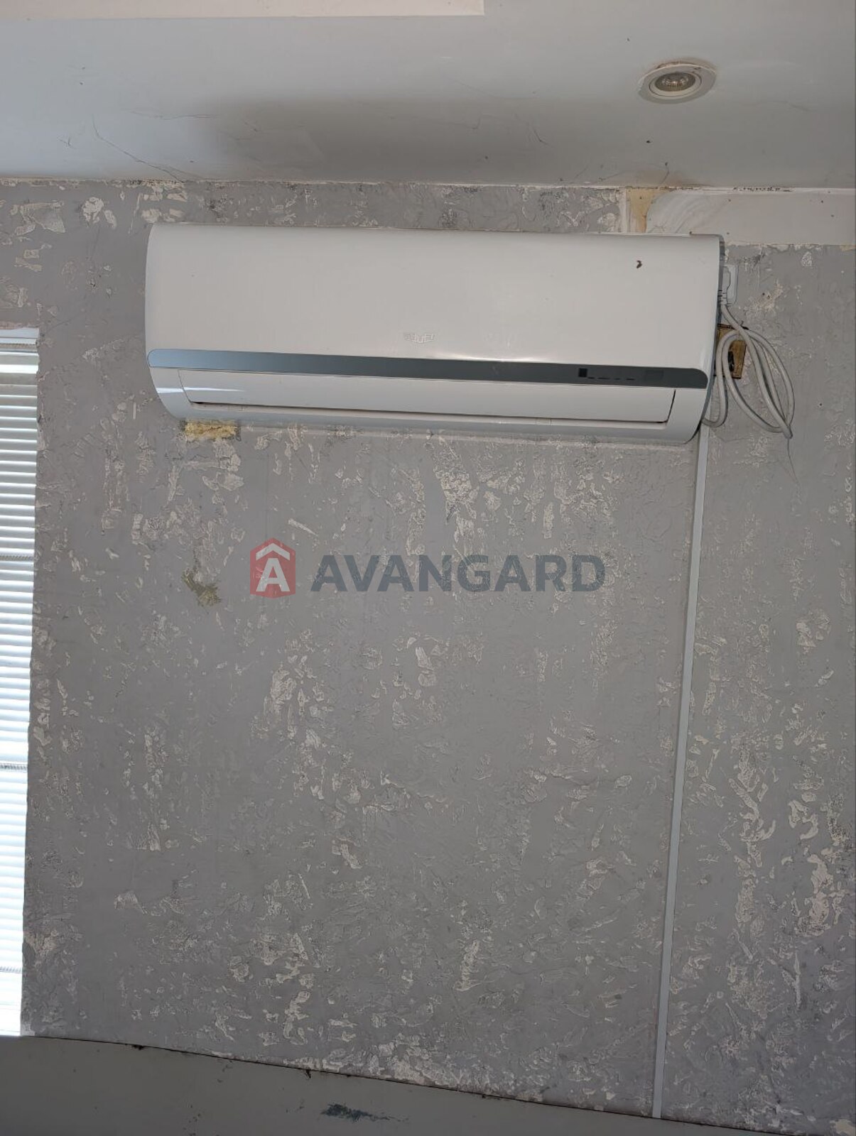 �������� �������, ����, ���, ��������, ����� �����, 51 ��.�. ���� 7