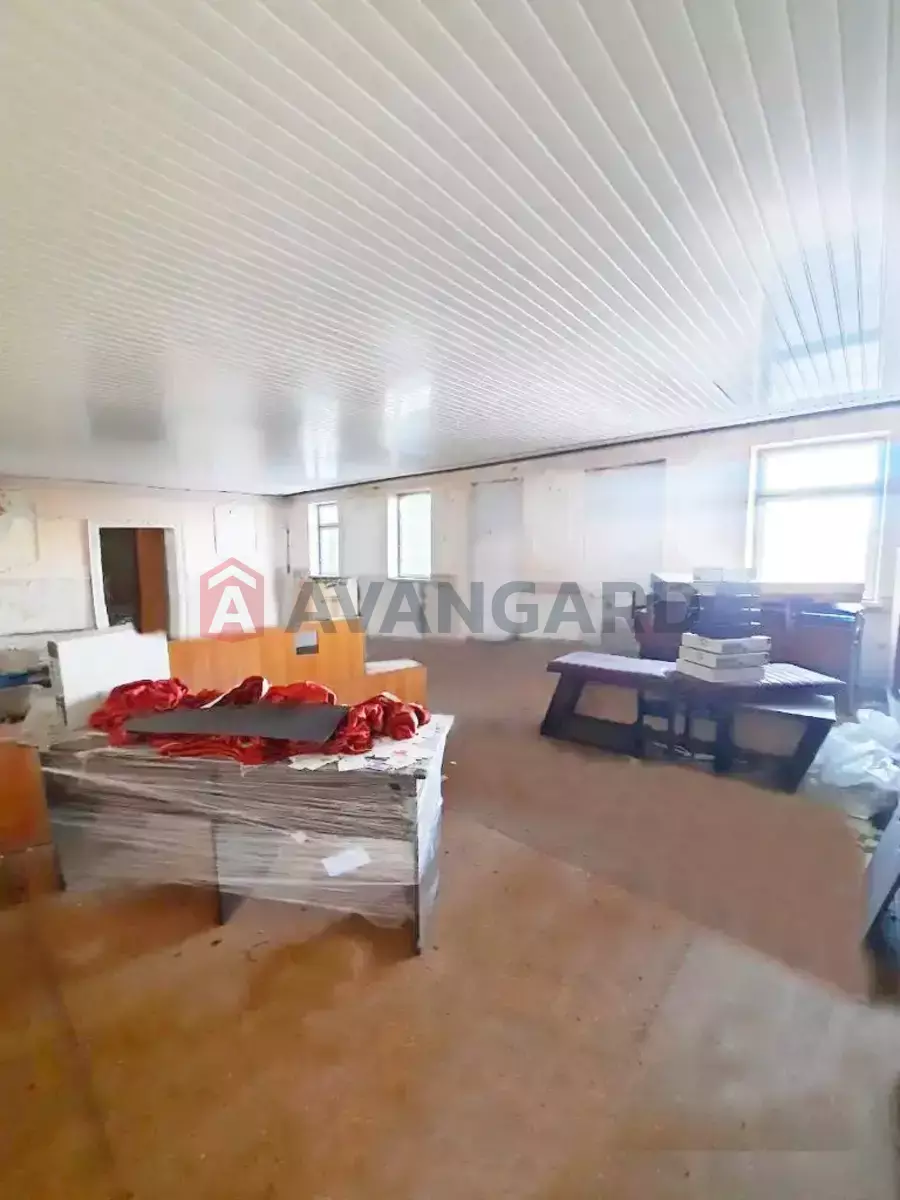 ���������� �����, 80 ��.�. ���� 8