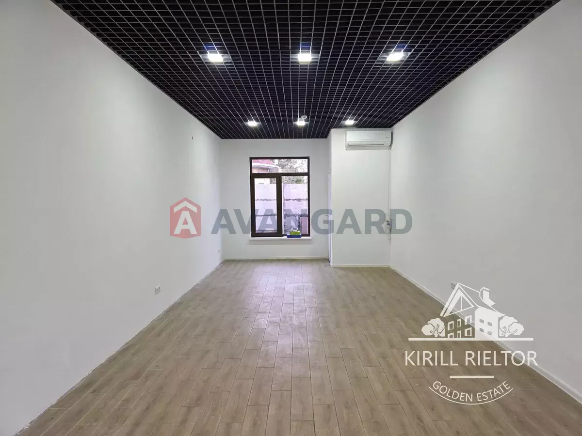 ���������� �����, 33 ��.�. ���� 10