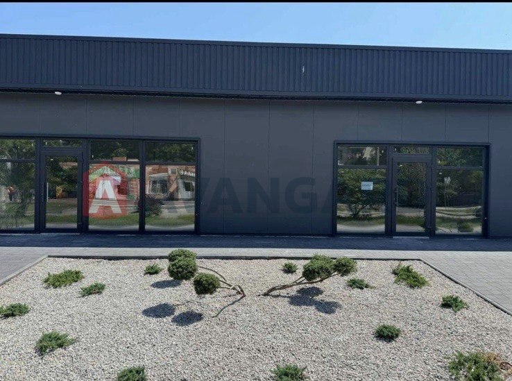 �������� �������, ����, ���, ��������, ����� �����, 40 ��.�. ���� 10