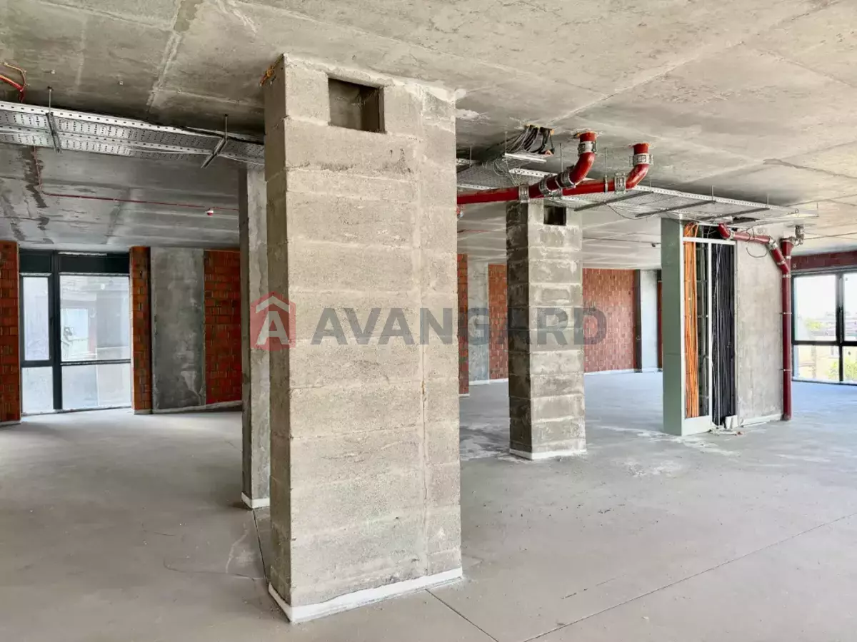 �������� �������, 292 ��.�. ���� 25