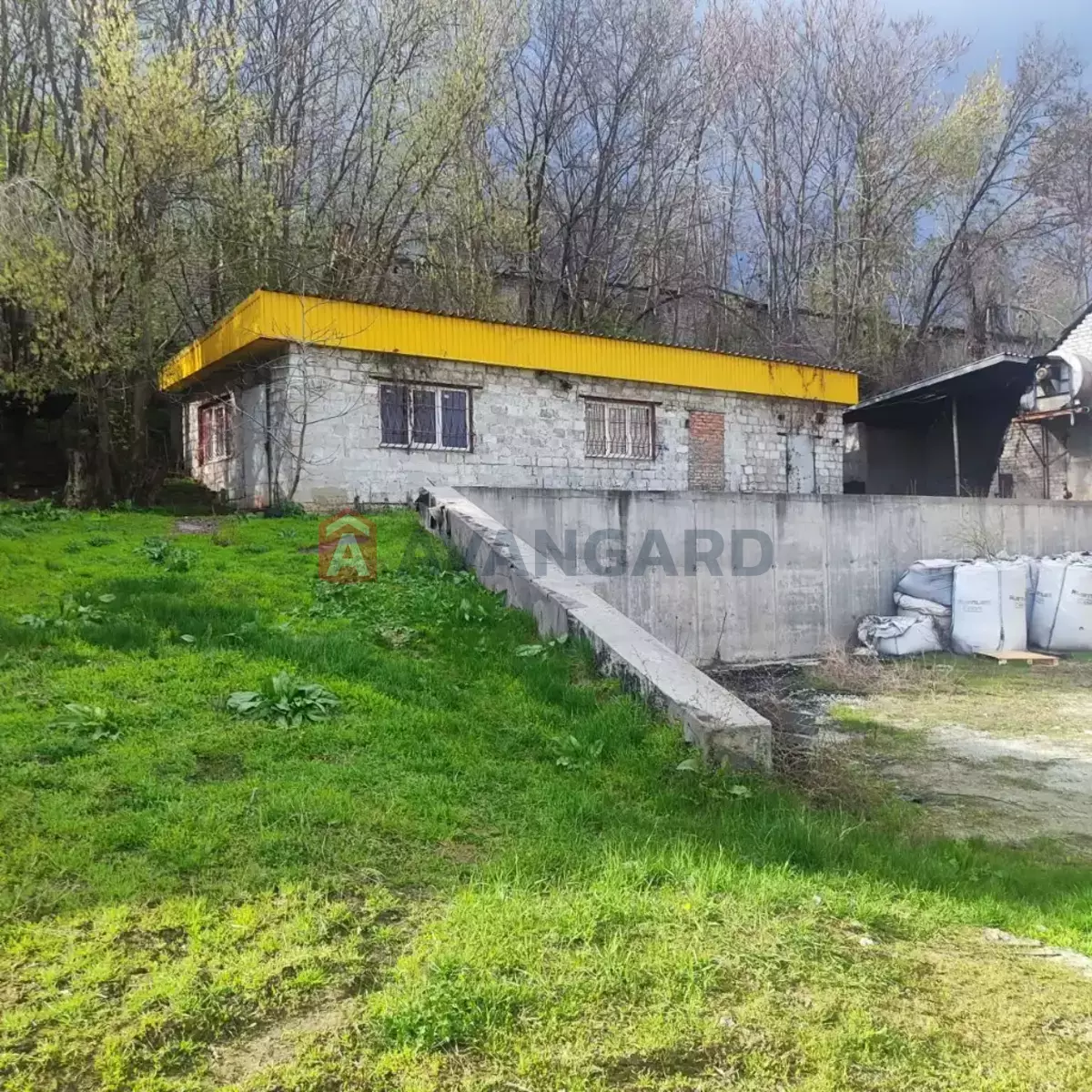 ���������� �����, 80 ��.�. ���� 1