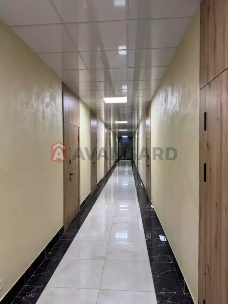 �������� �������, 58 ��.�. ���� 2