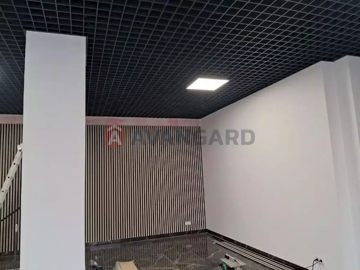 �������� �������, 255 ��.�. ���� 10