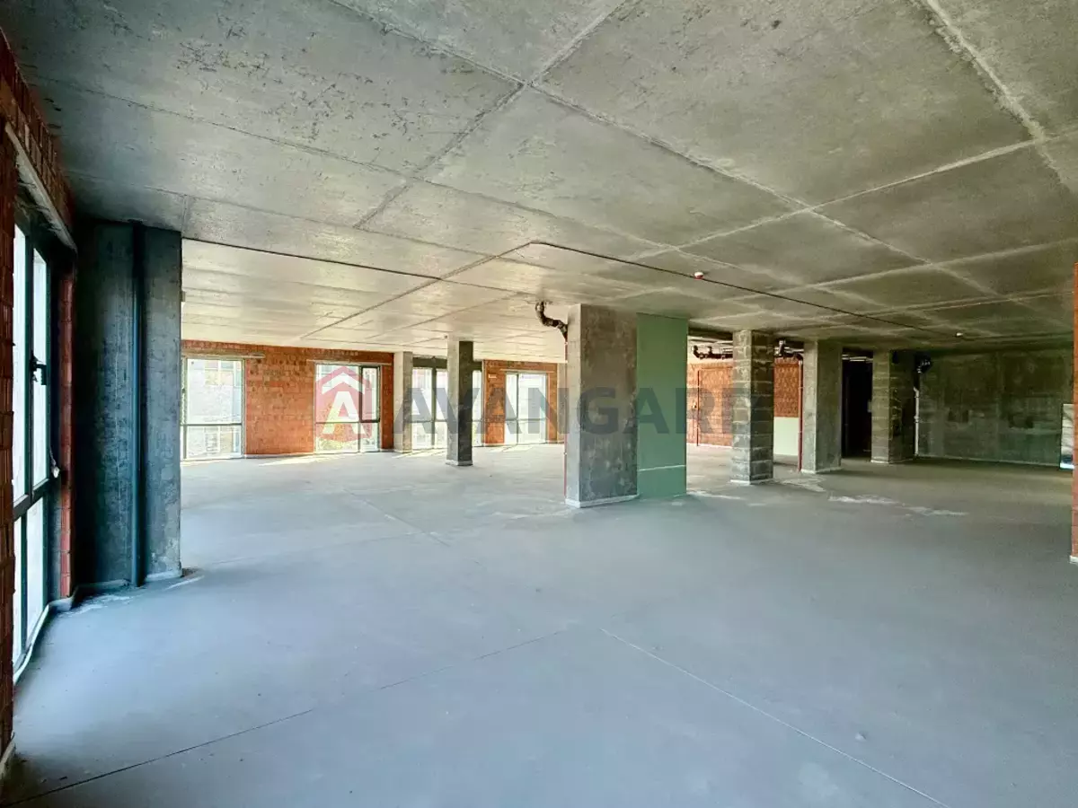 �������� �������, 292 ��.�. ���� 12