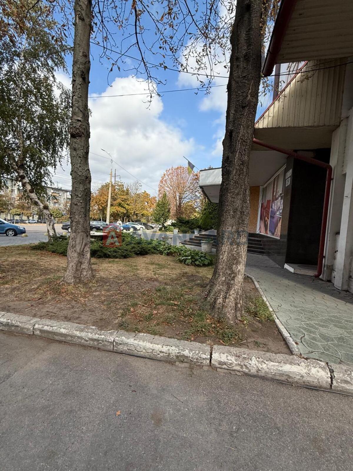 ���������� �����, ����, ���, ��������, ����� ������, 800 ��.�. ���� 5