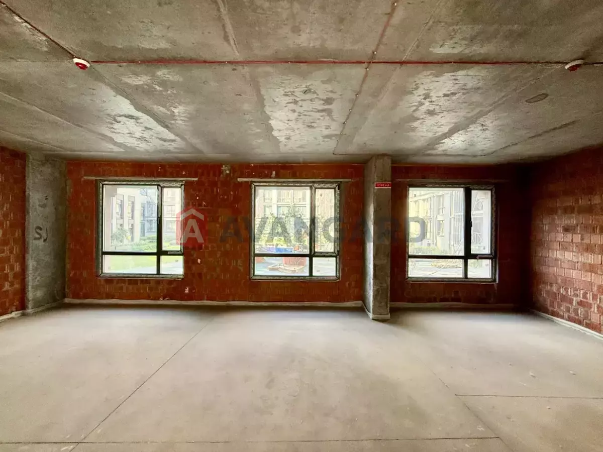 ���������� �����, 240 ��.�. ���� 22