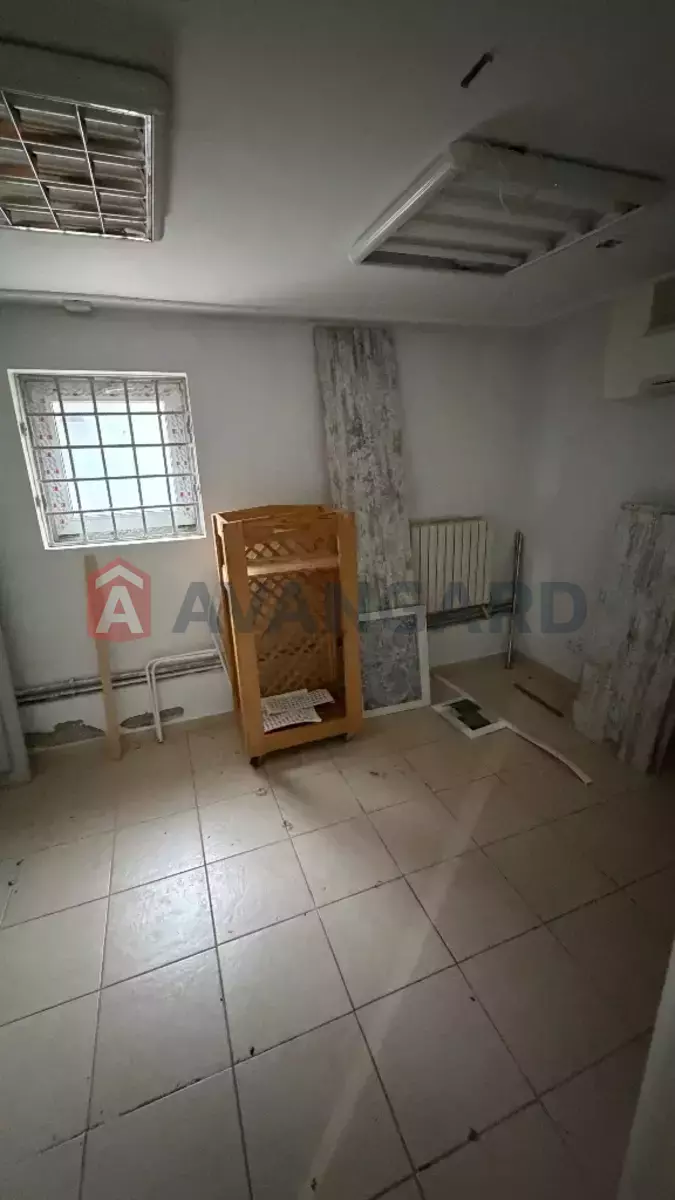 ���������� �����, 89 ��.�. ���� 13