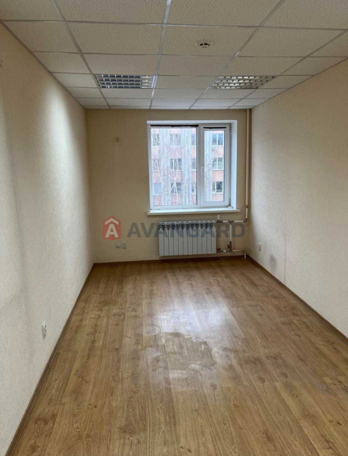 15 ��.�. ���� 1