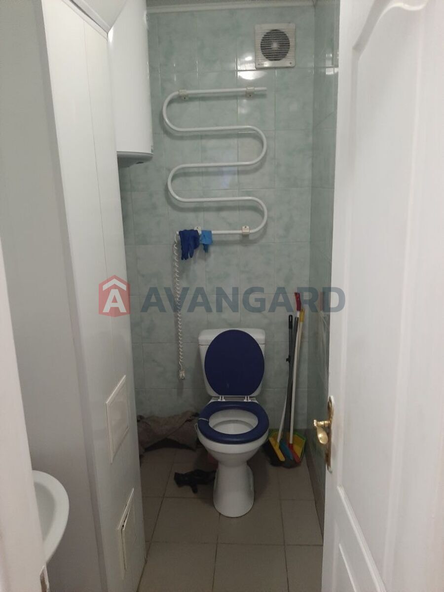 ����� �����, 56 ��.�. ���� 6