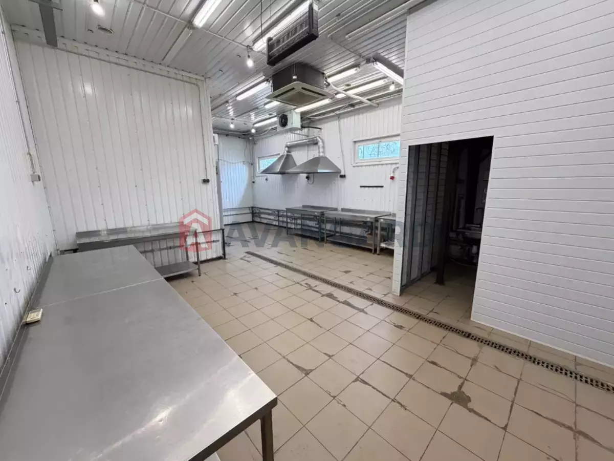 ���������� �����, 240 ��.�. ���� 1