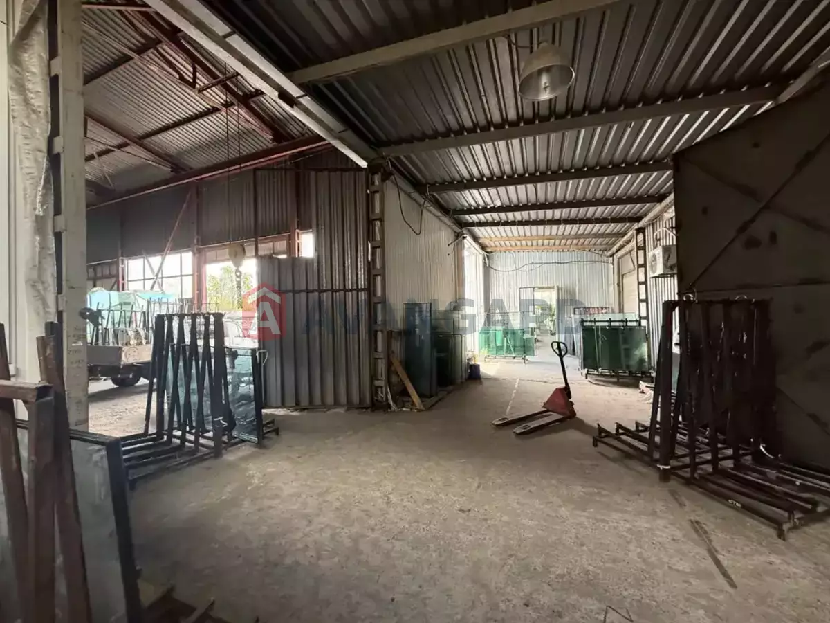 ���������� �����, 4000 ��.�. ���� 12