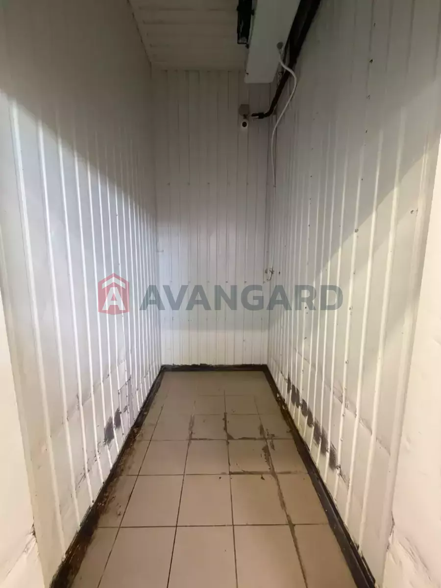 ���������� �����, 240 ��.�. ���� 6