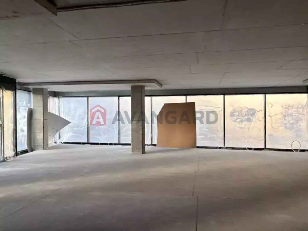 ����, ���, ��������, 428 ��.�. ���� 11