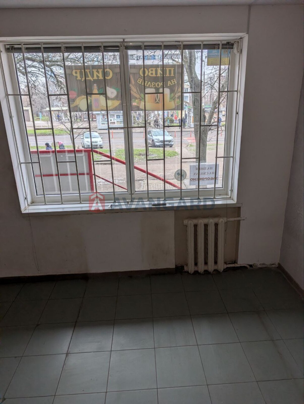 �������� �������, ����, ���, ��������, ����� �����, 51 ��.�. ���� 8