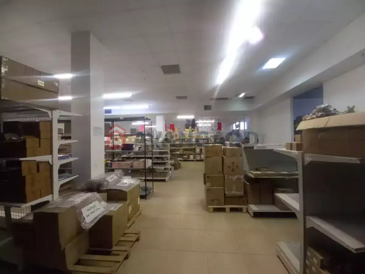 ���������� �����, 1510 ��.�. ���� 17