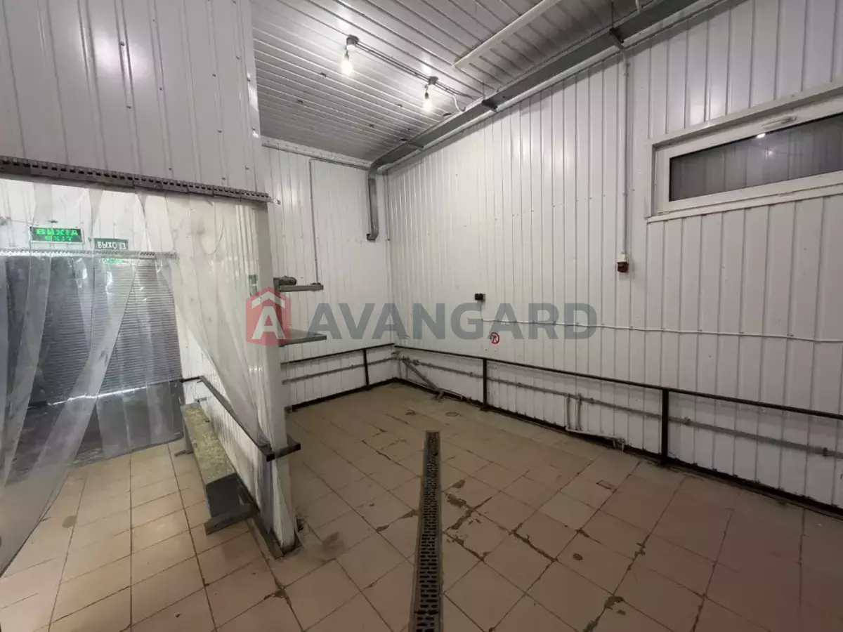 ���������� �����, 240 ��.�. ���� 10