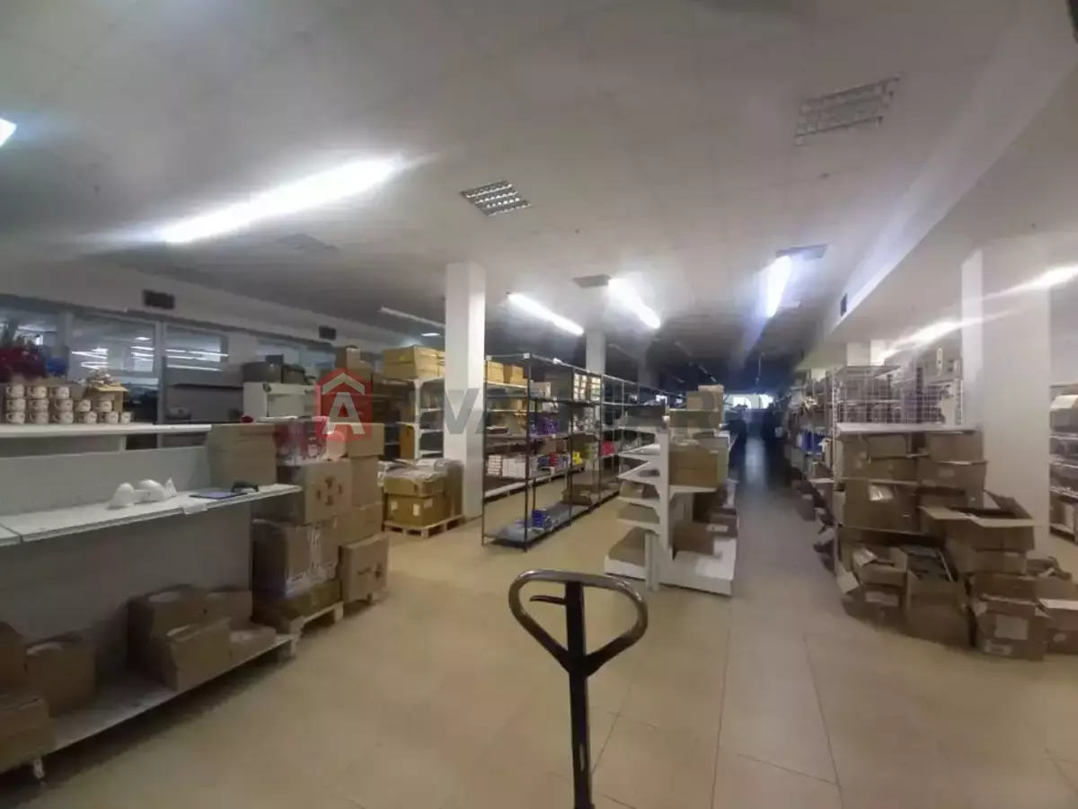 ���������� �����, 1510 ��.�. ���� 16