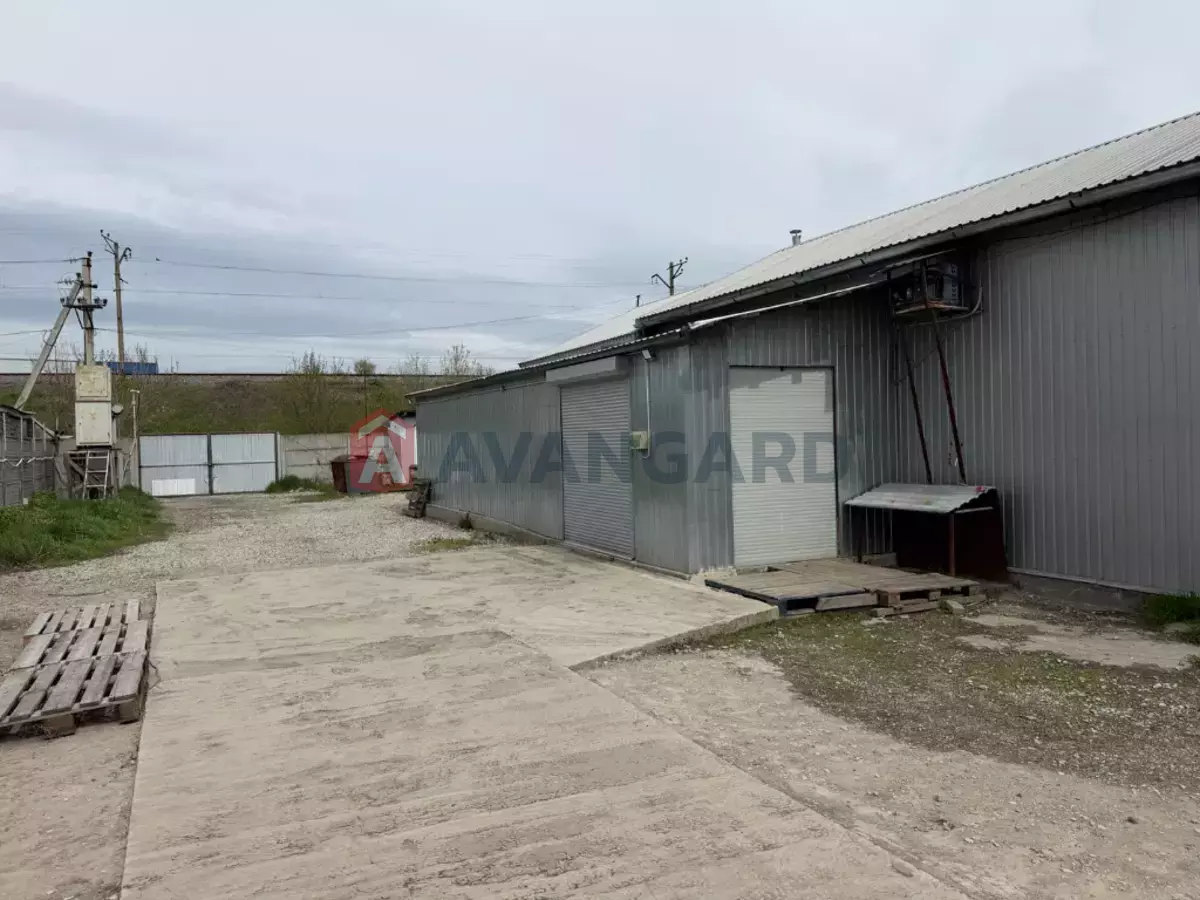 ���������� �����, 240 ��.�. ���� 15