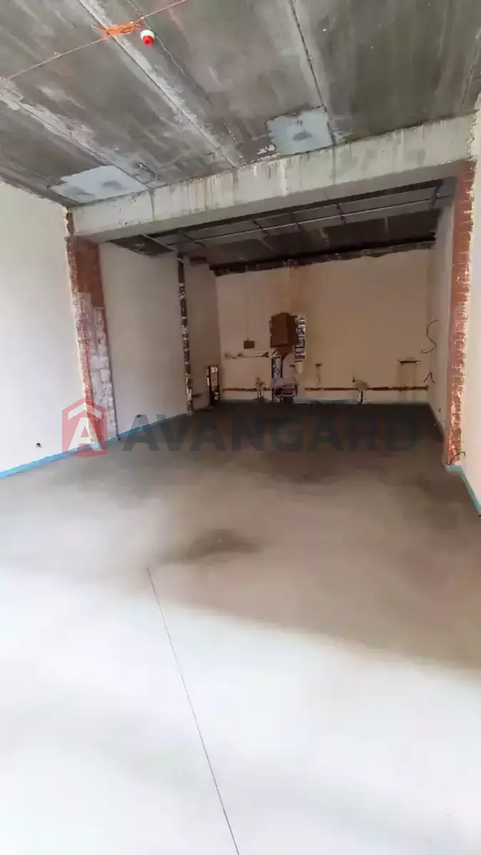 ���������� �����, 56 ��.�. ���� 7