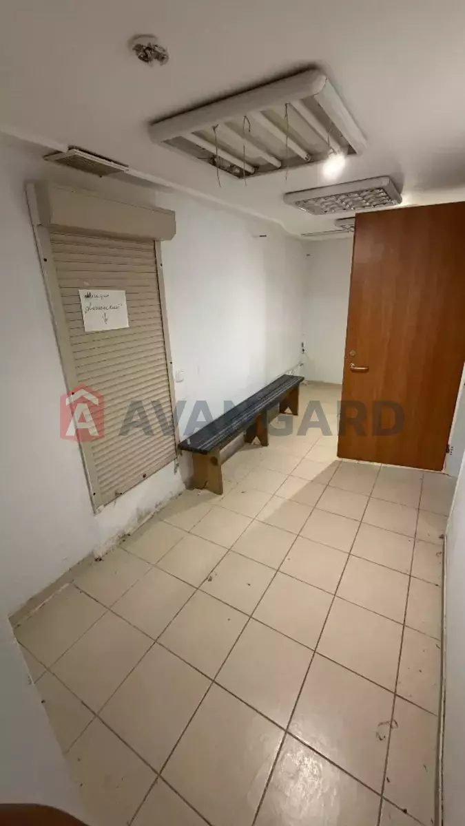 ���������� �����, 89 ��.�. ���� 11