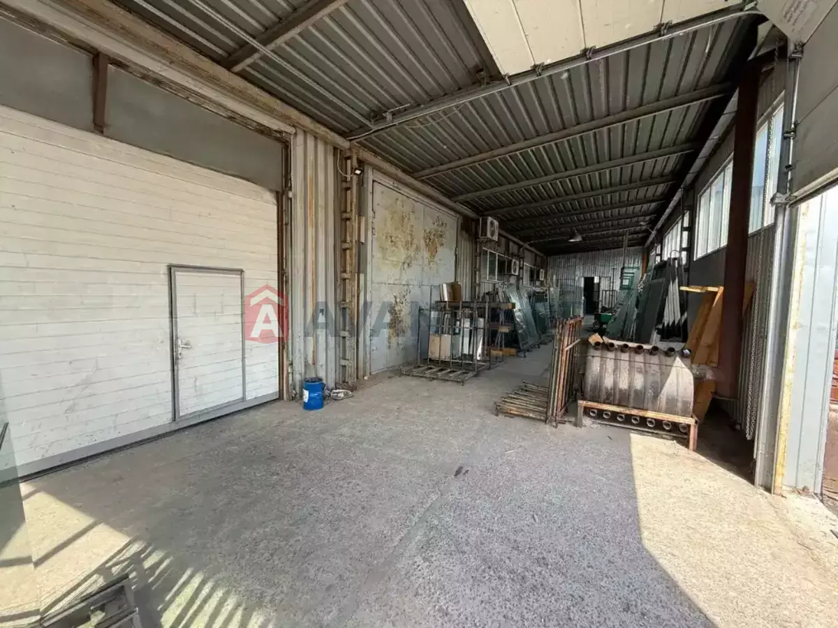 ���������� �����, 4000 ��.�. ���� 8