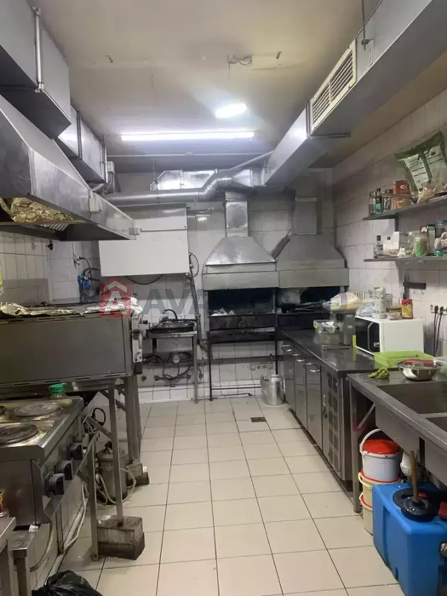 ����, ���, ��������, 200 ��.�. ���� 17