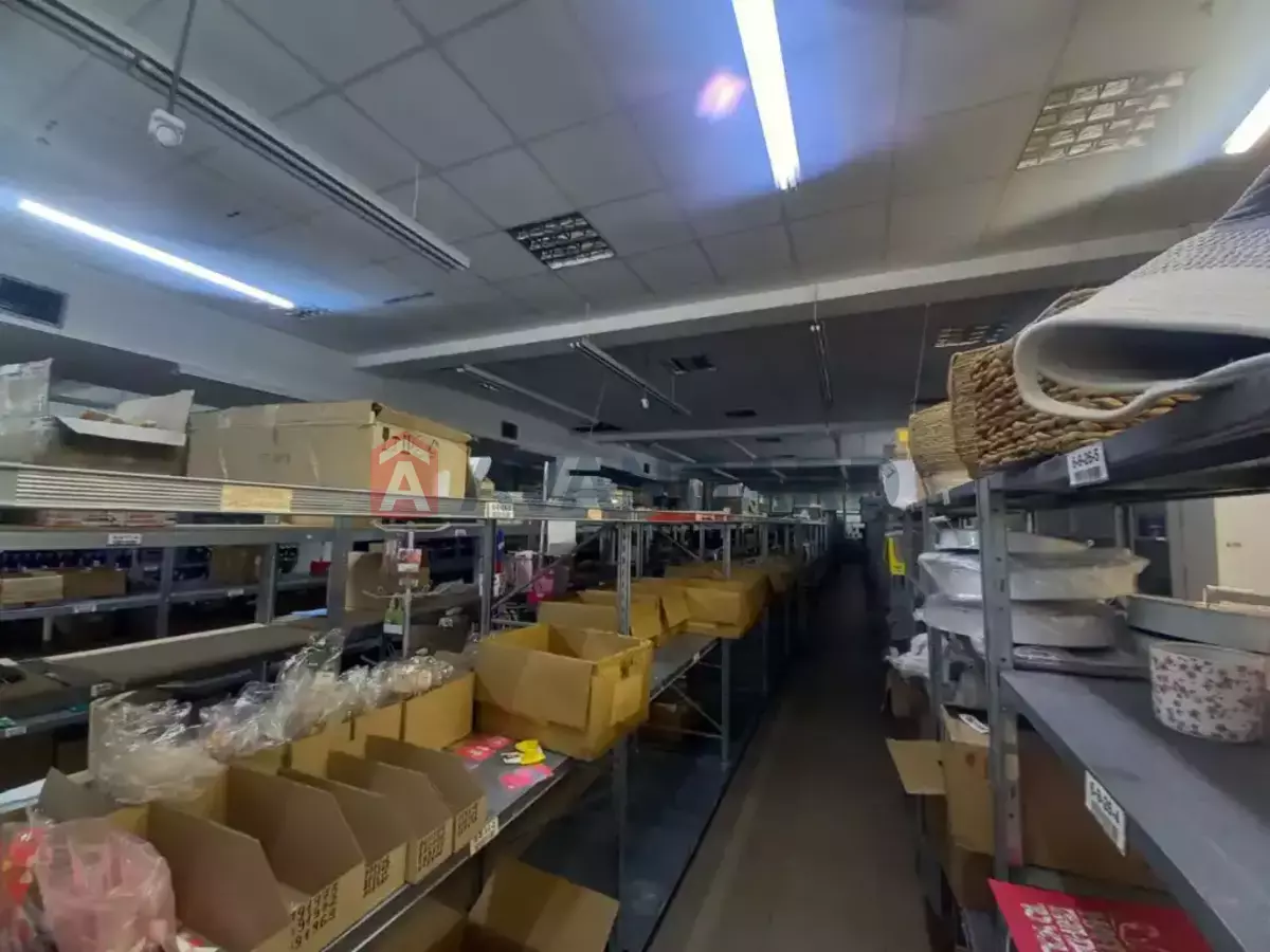 ���������� �����, 1510 ��.�. ���� 14